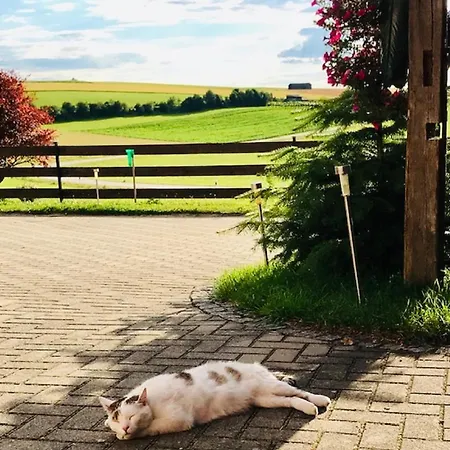 Ferienwohnung Anna Mit Blick Ins Gruene شقة